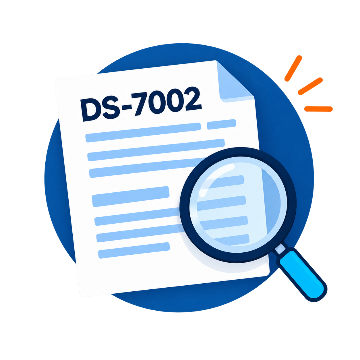 DS-7002-Formular unter der Lupe